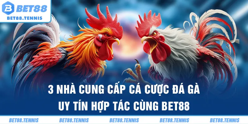 3 nhà cung cấp cá cược đá gà uy tín hợp tác cùng BET88