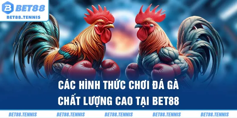 Các hình thức chơi đá gà chất lượng cao tại BET88