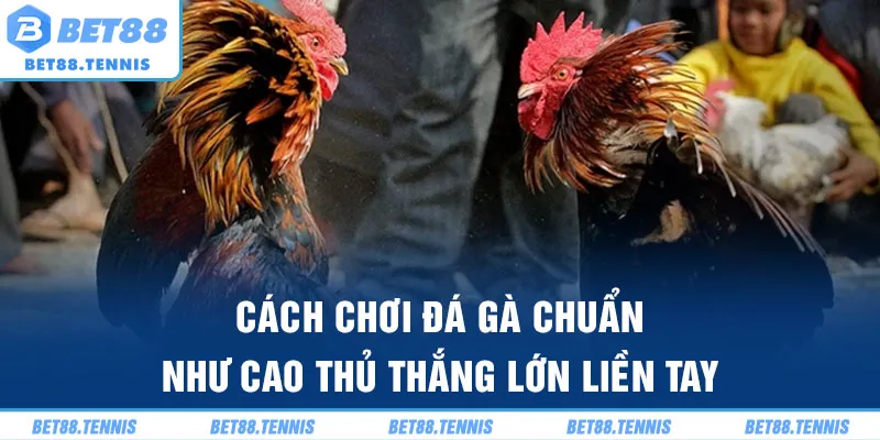 Cách chơi đá gà Bet88 chuẩn như cao thủ thắng lớn liền tay