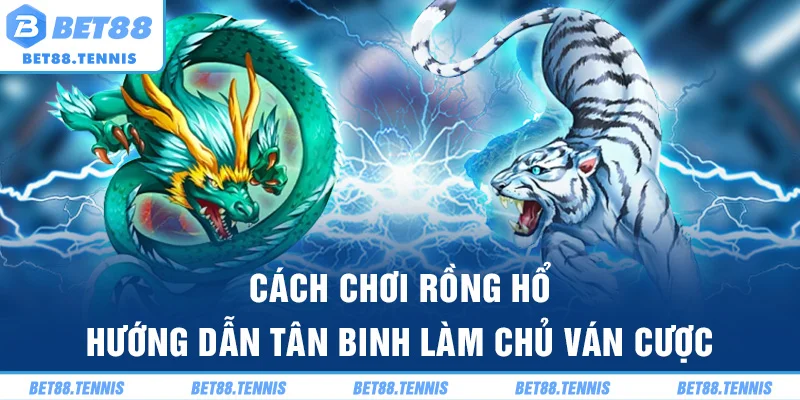 Cách Chơi Rồng Hổ – Hướng Dẫn Tân Binh Làm Chủ Ván Cược
