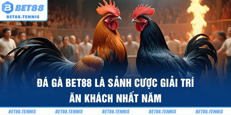 Đá gà BET88 là sảnh cược giải trí ăn khách nhất năm