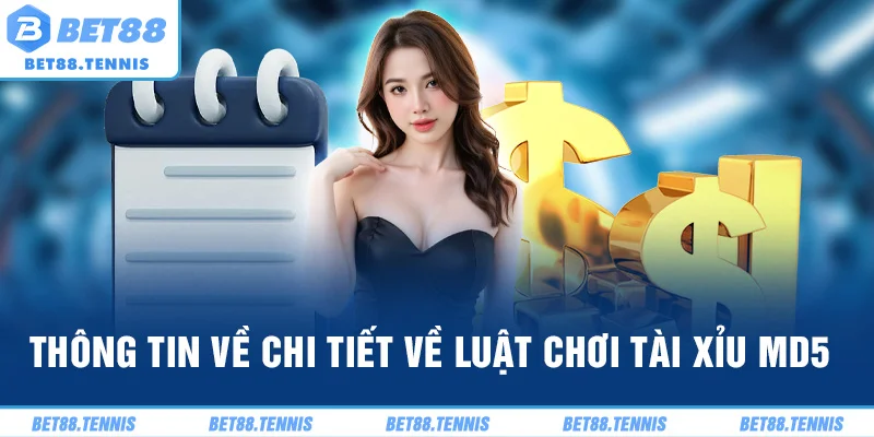 Thông tin về chi tiết về luật chơi tài xỉu MD5